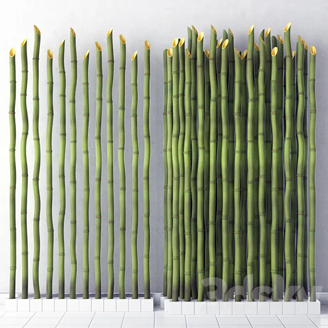 Bamboo decor 3DModel