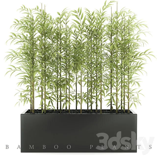 BAMBOO PLANTS 49 3DModel