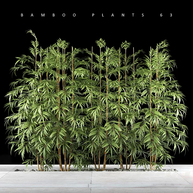 BAMBOO PLANTS 63 3D Model
