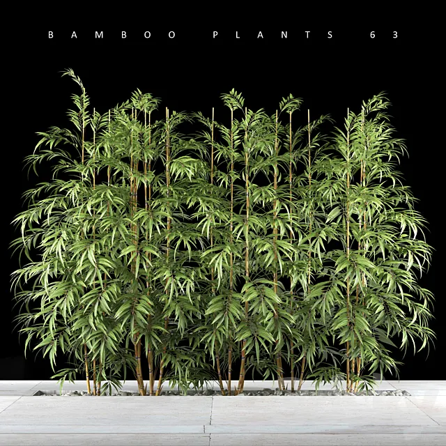 BAMBOO PLANTS 63 3DModel