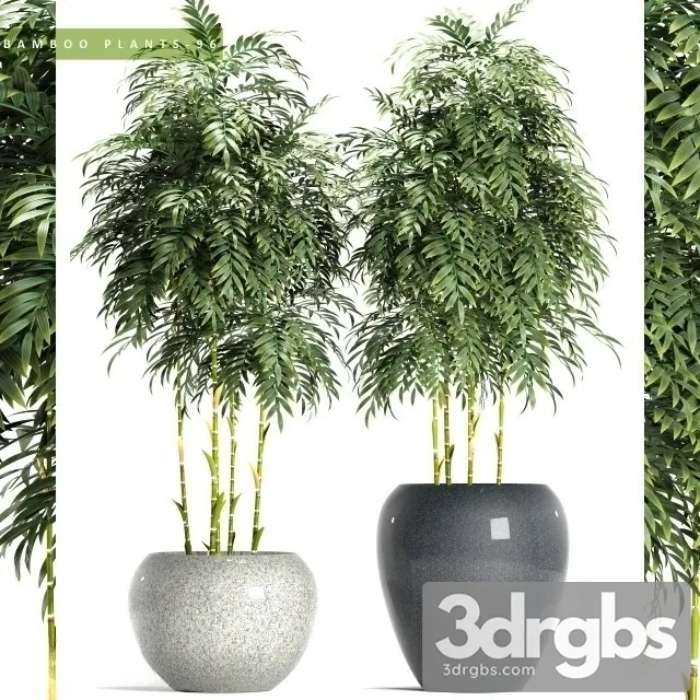 Bamboo Plants 96 3D Model Free