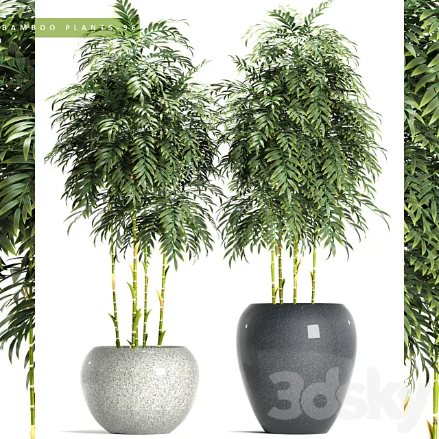 BAMBOO PLANTS 96 3DModel