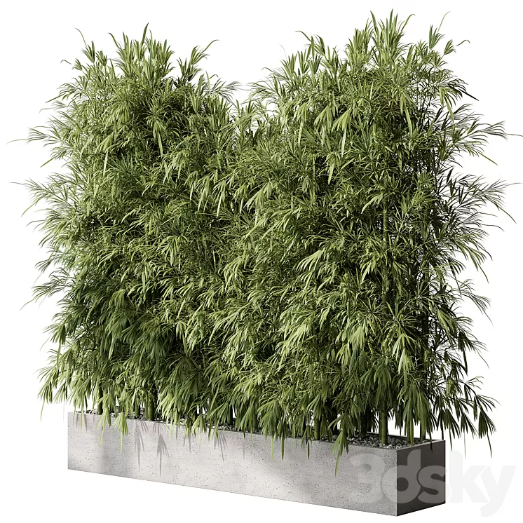 Bamboo Plants - Outdoor Plants 468 3D Model Free