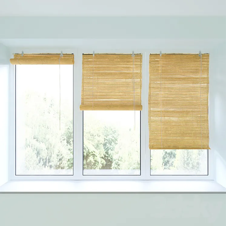 Bamboo roll blind and plastic window 3D Model Free