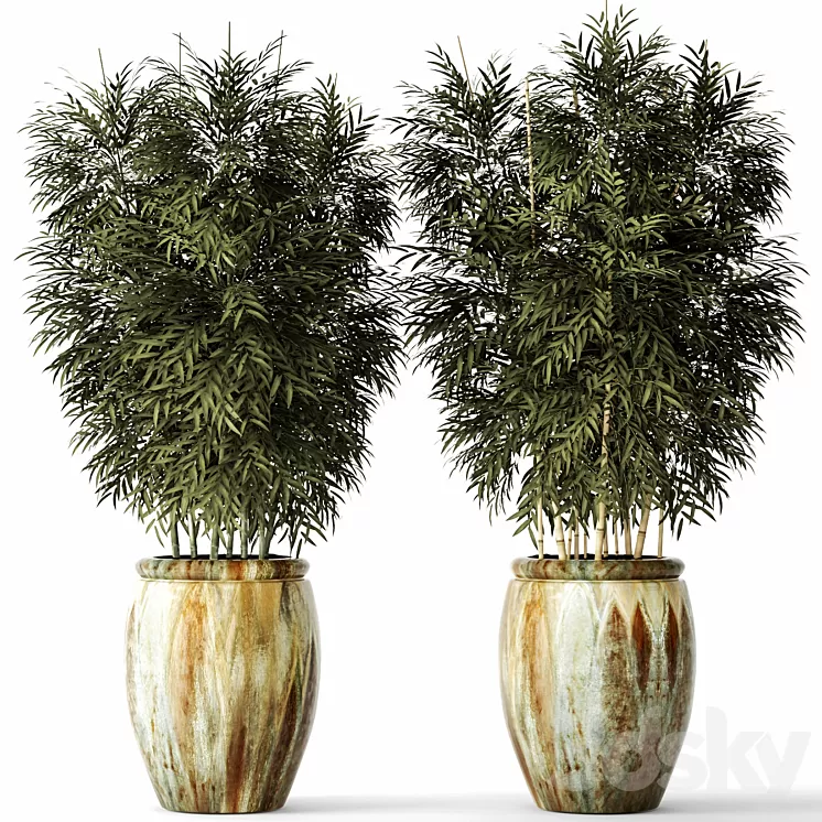 Bamboo set flower pot bamboo bush thickets bamboo pot flowerpot outdoor 3D Model Free