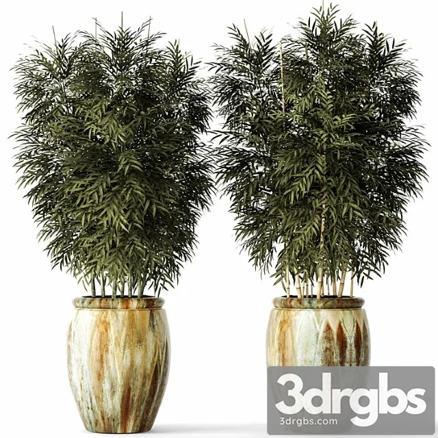 Bamboo Set Tsvetok Gorshok Kust Bambuka Zarosli Bambuk Gorshok Vazon Ulichnyi 3D Model Free