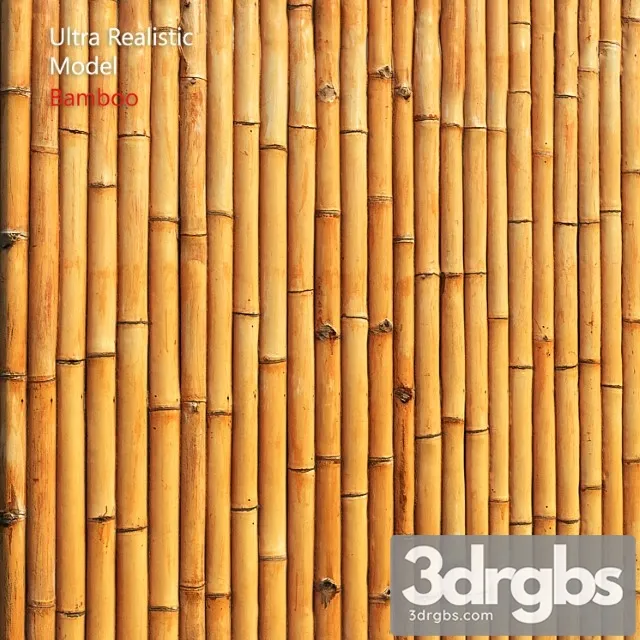 Bamboo Wall 3D Model Download