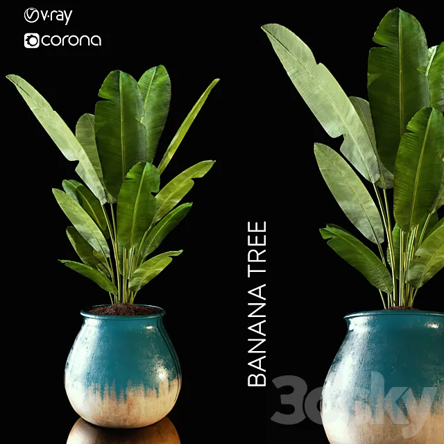 banana tree 3D Model