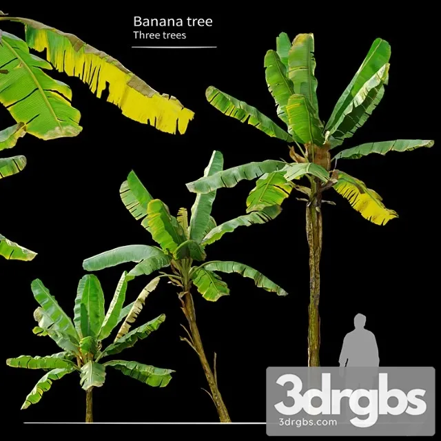 Banana Tree 6 Free Download