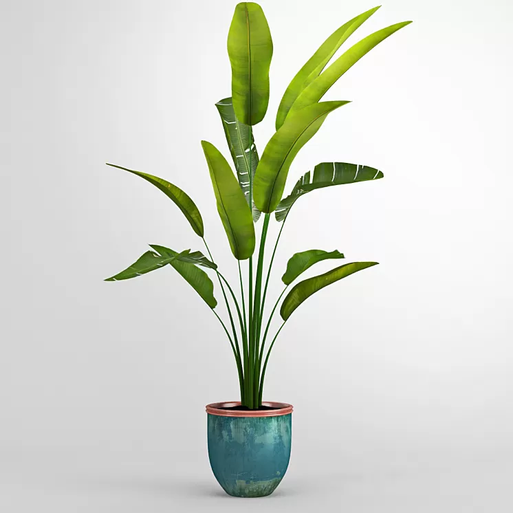 Banana trees 3D Model