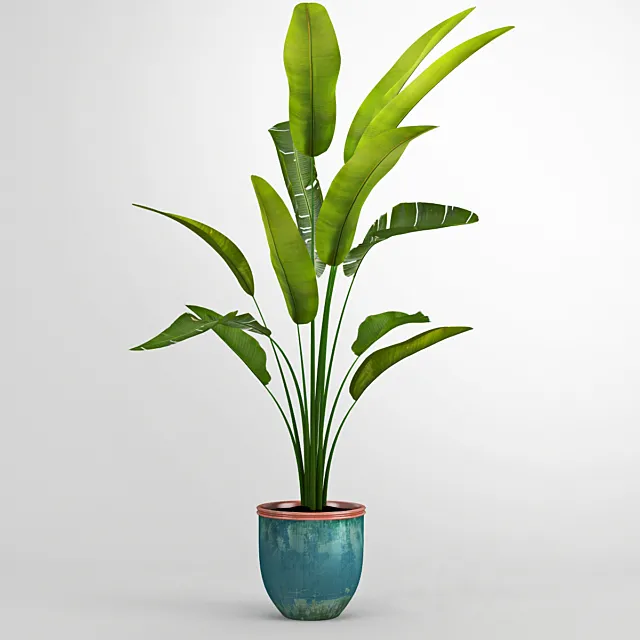 Banana trees 3DModel