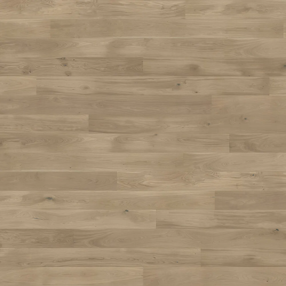 Barlinek - Flooring Oak Biscuits Grande 3D Model