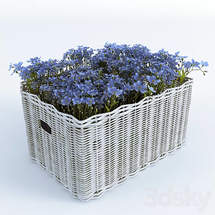 Basket with Forget-Me 3D Model