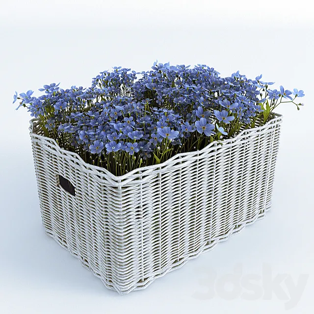 Basket with Forget-Me 3D Model