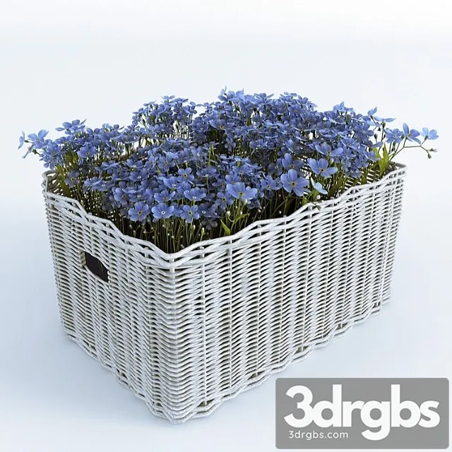 Basket With Forget Me Nots 3D Model Free