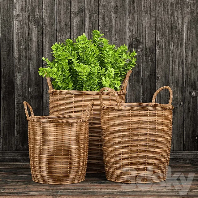 Basket with plants Free Download