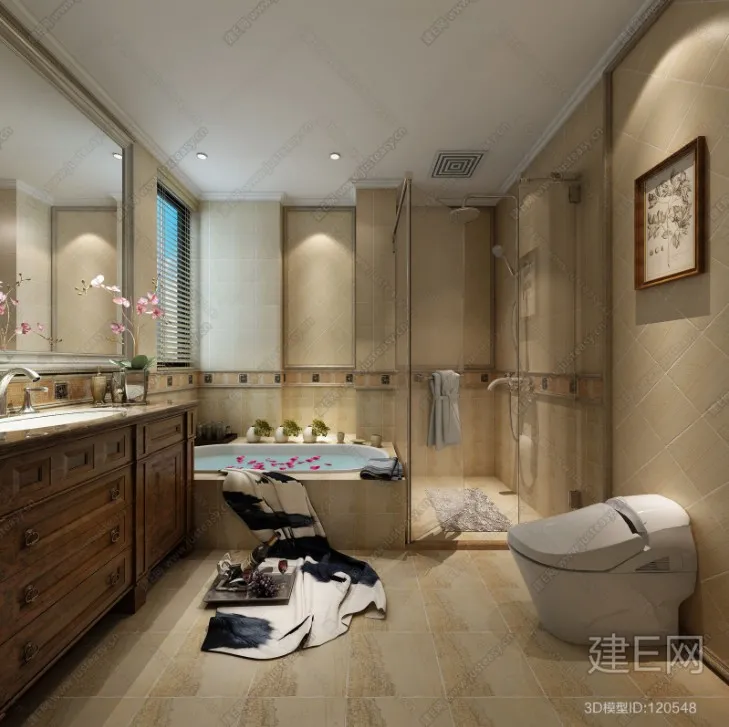 Bathroom 3D Interior Scene - American Style - 011