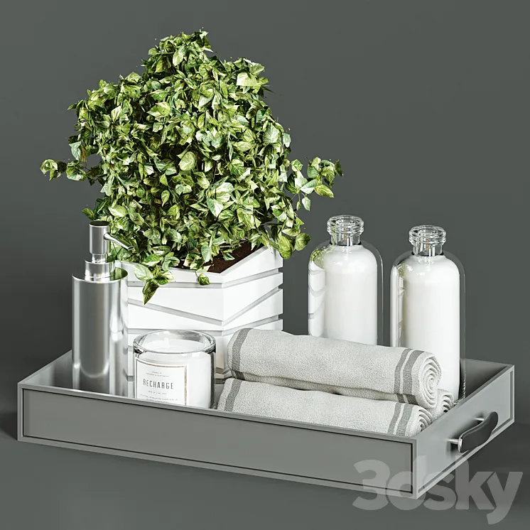 Bathroom Accessories 02 3D Model Free