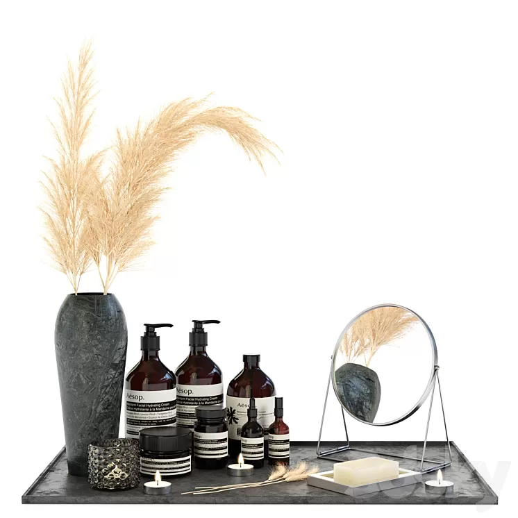 Bathroom accessories 02 3D Model