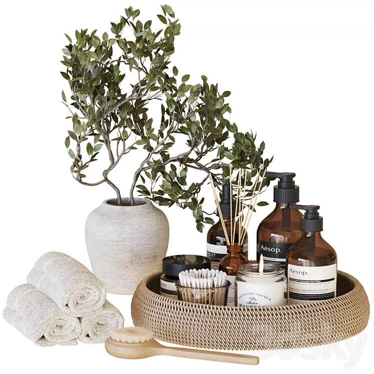 Bathroom Accessories-05 3D Model Free