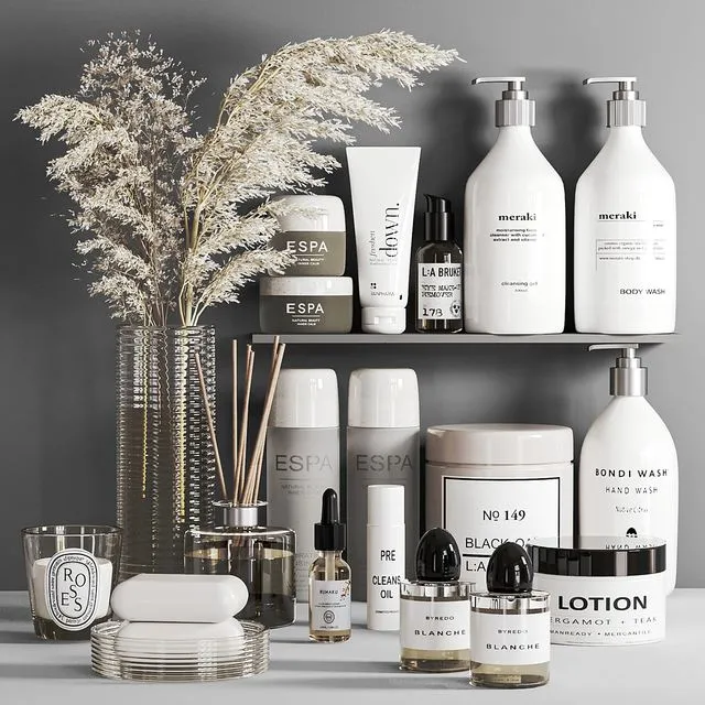 Bathroom Accessoris 22 3D Model