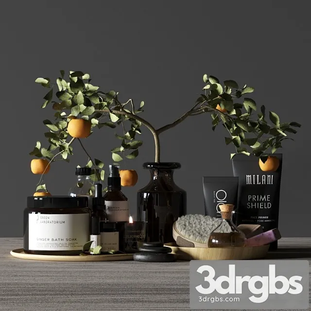 Bathroom Decor Spa 3D Model Free