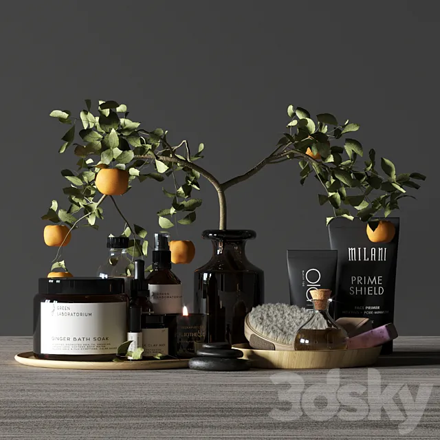 Bathroom decor spa 3DModel