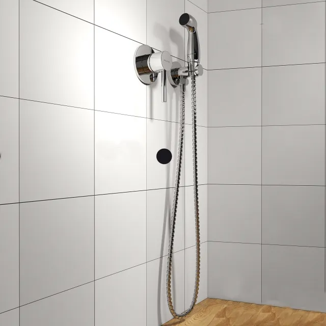 bathroom - Hygienic shower Kludi 3D Model