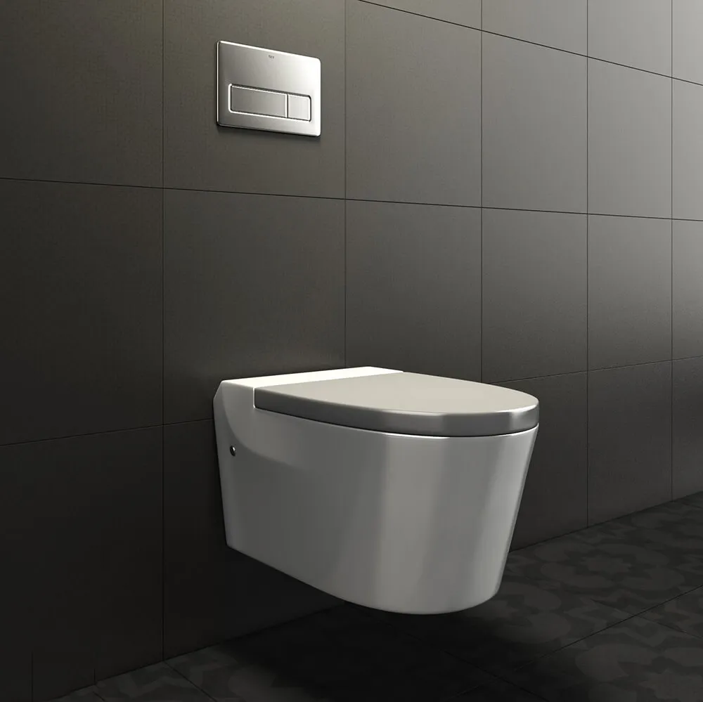 bathroom - Roca Khroma toilet flushing and key In-Wall 3D Model