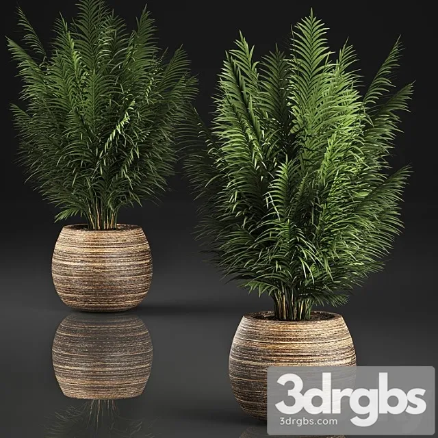 Beautiful Decorative Small Lush Palm Bush In Basket 828 3D Model Free