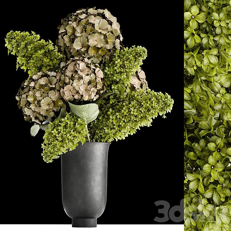 Beautiful modern bouquet of green flowers in a black vase with Hydrangea green Lilac. 169 3D Model Free