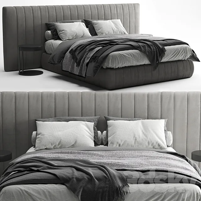 Bed Tuyo Meridiani Free Download