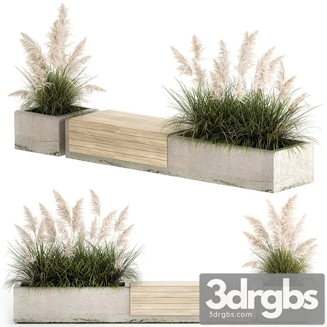 Bench flowerbed for the urban environment in a concrete flowerpot with bushes of reeds and pampas grass cortaderia. 1144. Free Download