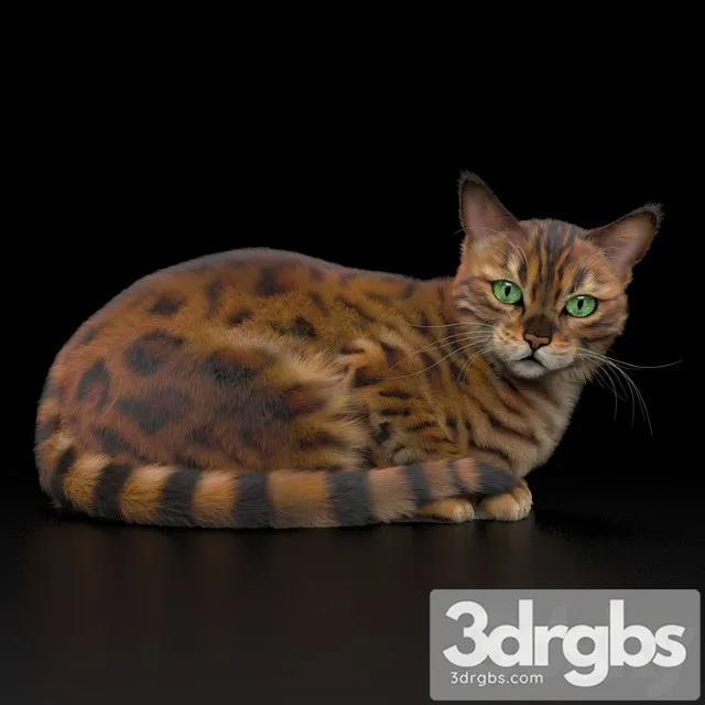 Bengal Cat 3D Model Free
