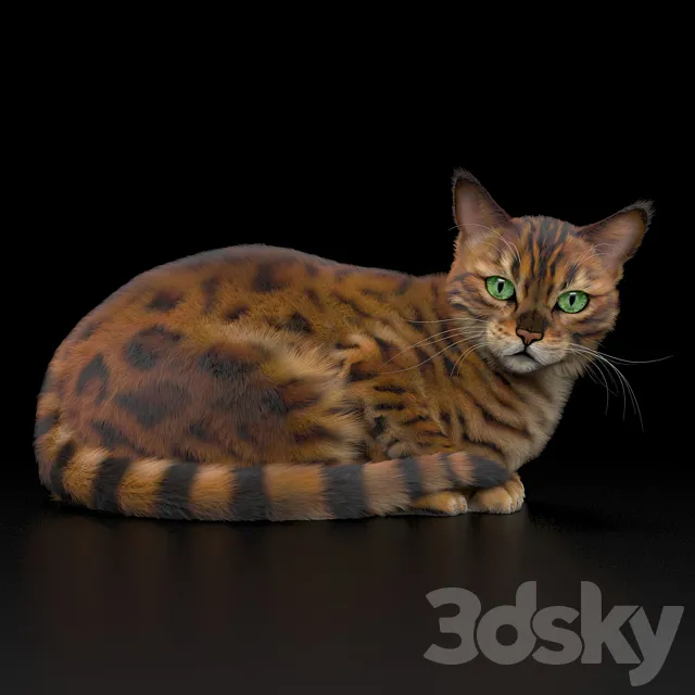 BENGAL CAT 3DModel