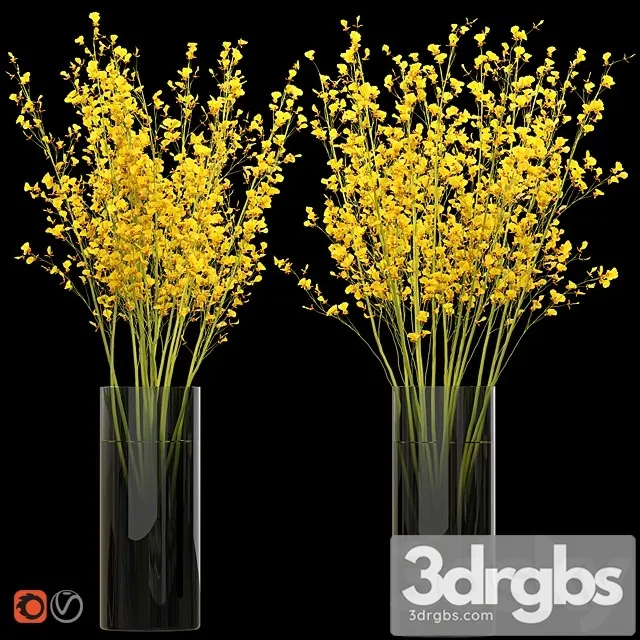 Big Bouquet Orchid Oncidium in a Vase 3D Model Free