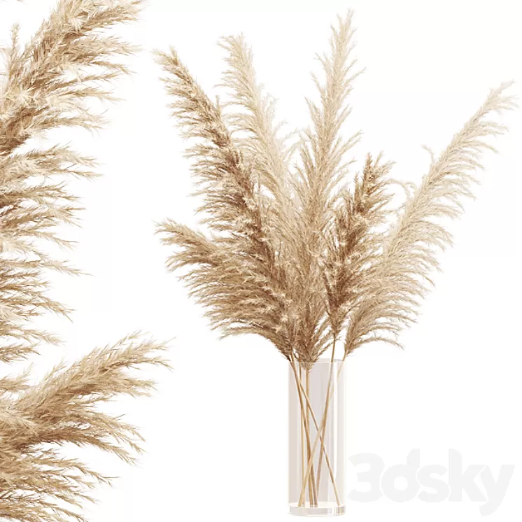 Big dried flower pampas grass in glass vase 3D Model