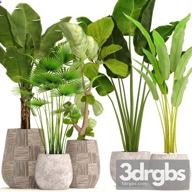 Big Set Plant 3D Model Free