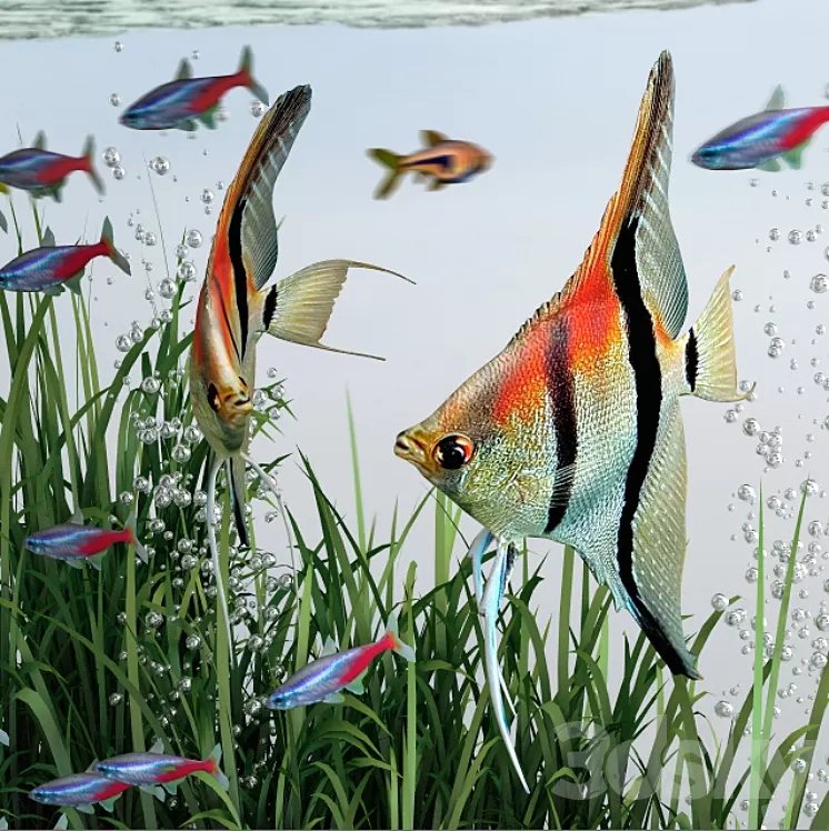 BiOrb 15L Flow Aquarium 3D Model