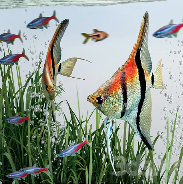 BiOrb 15L Flow Aquarium 3DModel