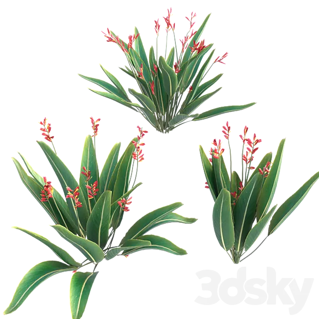 bird of paradise flower plants 3D Model