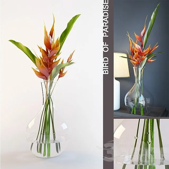 Bird of paradise in vase 3DModel