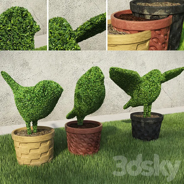 Birds - Shrubs 3D Model