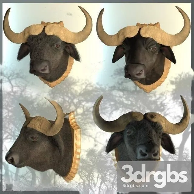 Bison Head On The Wall Free Download