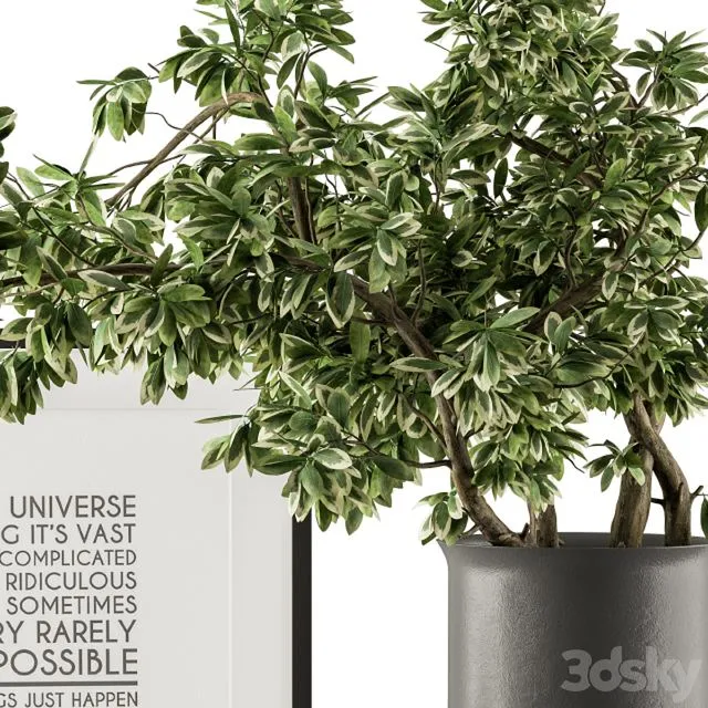 Black and Green Decorative Set with Plants - Set 77 3D Model