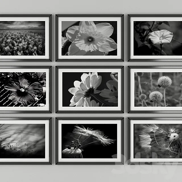 Black and white pictures of flowers 3D Model
