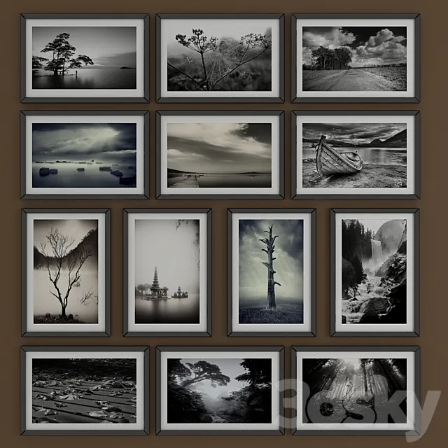 Black and white pictures of Nature 3D Model