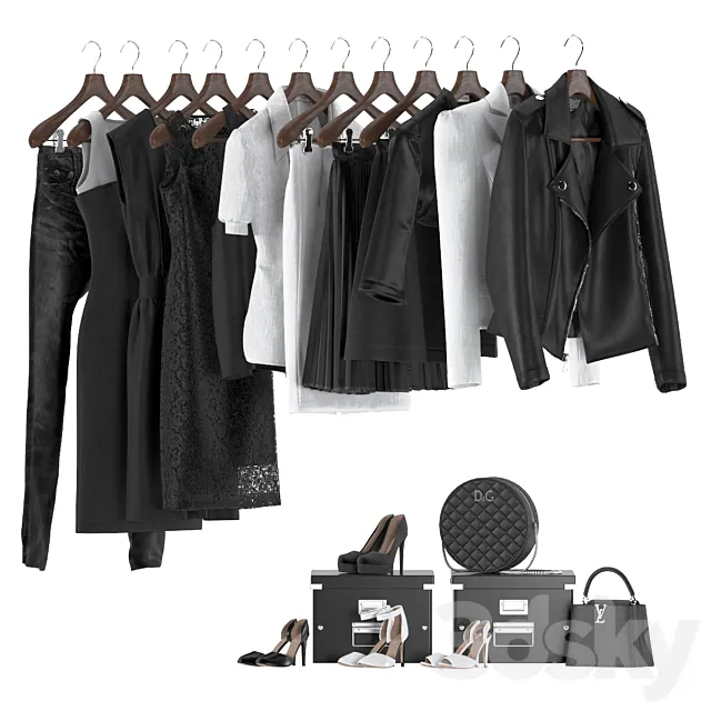 Black and white women's wardrobe 3D Model