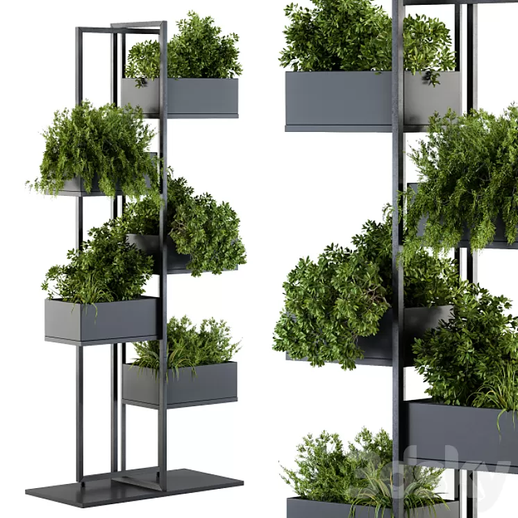 Black Box Plants on stand 03 3D Model