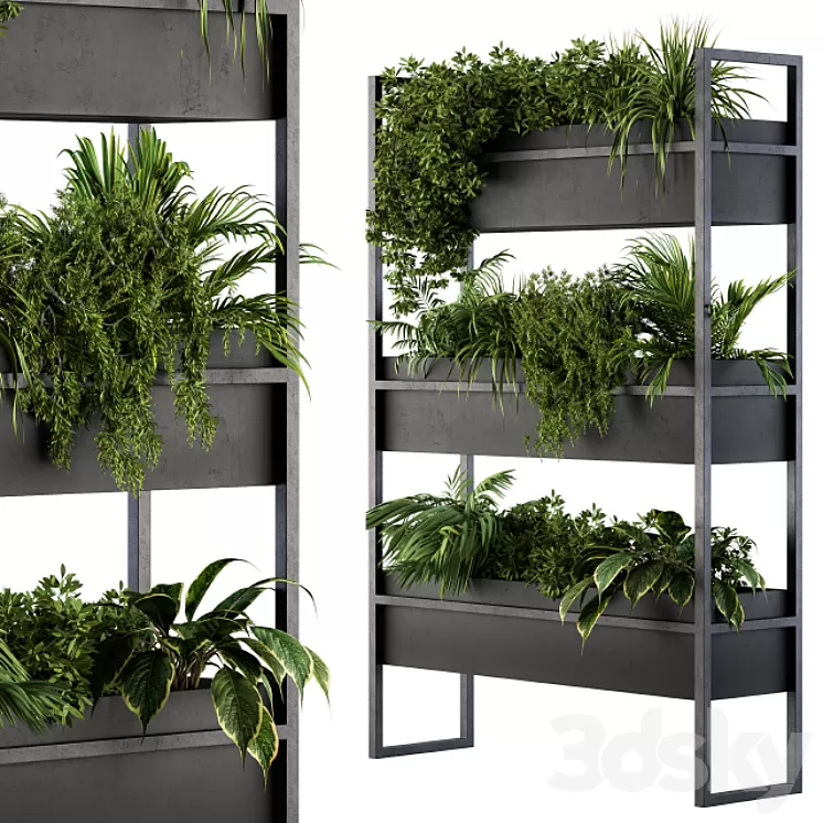 Black Box Plants on stand 05 3D Model
